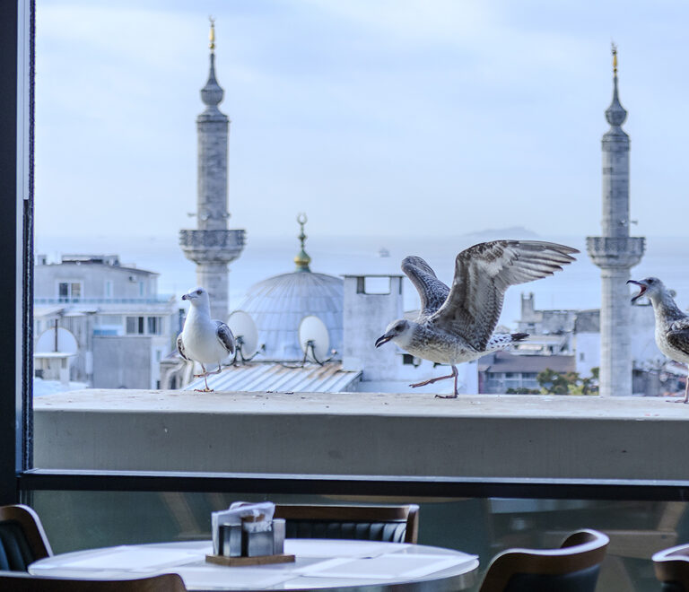 TERRACE